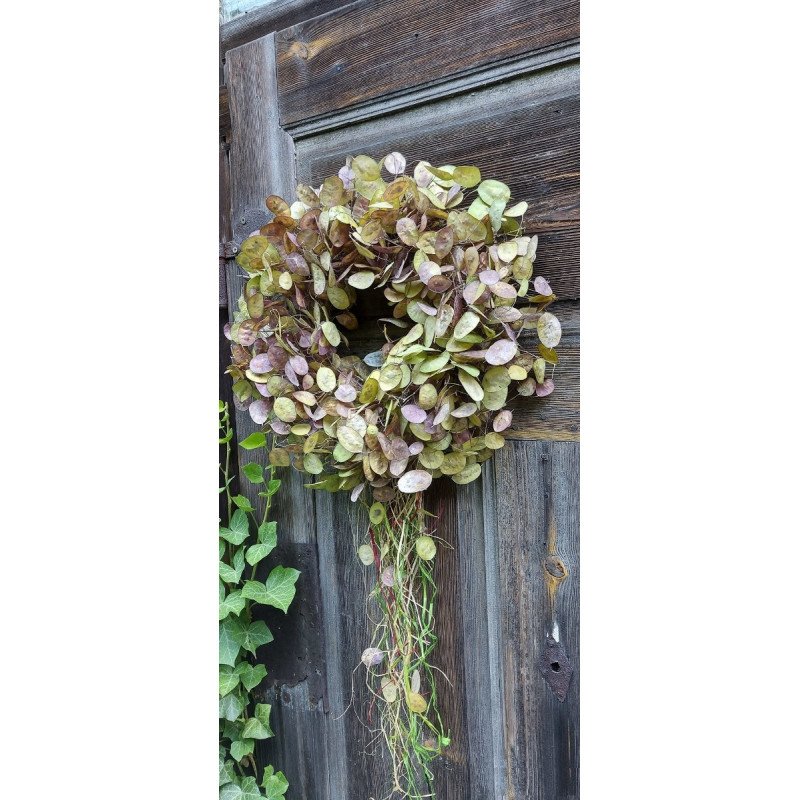 Wreath from nature Wreath from nature