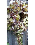 Wreath from nature