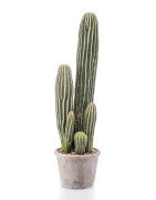 Artificial Cactus