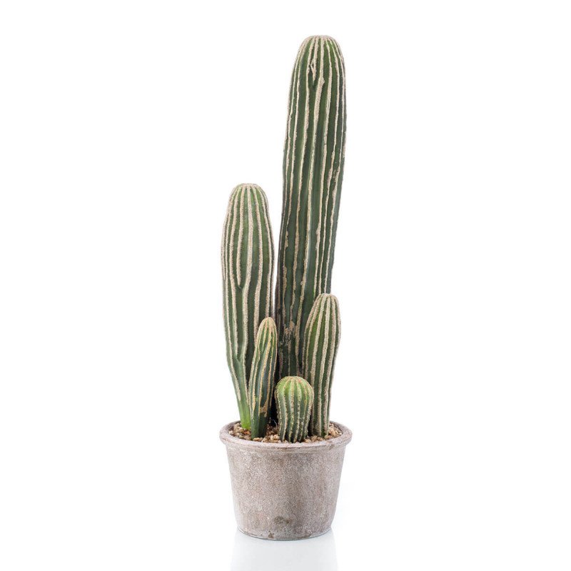 Artificial Cactus