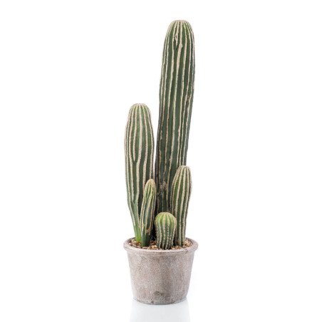 Artificial Cactus