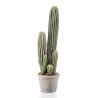 Artificial Cactus
