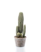 Artificial Cactus