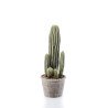 Artificial Cactus
