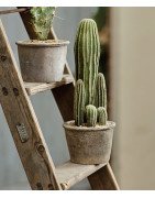 Artificial Cactus