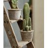 Artificial Cactus
