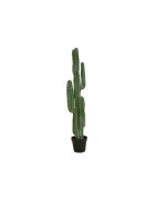 Artificial column Cactus