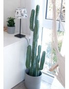 Artificial column Cactus