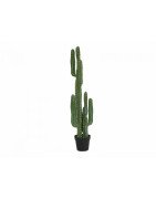 Artificial column Cactus