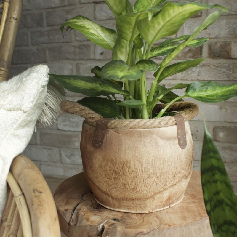 Natural wooden planter 4pc/Set Natural wooden planter 4pc/Set